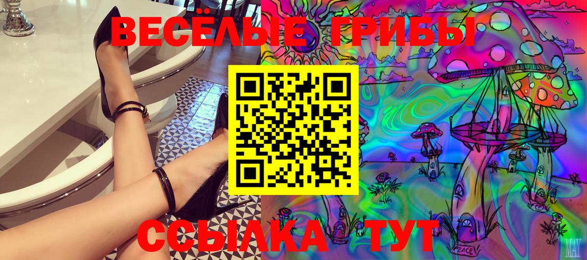 Тверь  магазин    Вход с VPN  Галлюциногенные грибы Psilocybe 